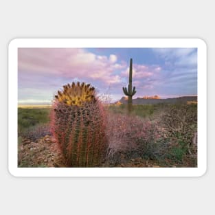 Saguaro And Giant Barrel Cactus With Panther And Safford Peaks In Distance Saguaro National Park Sticker